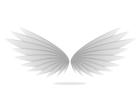Perfect Wings