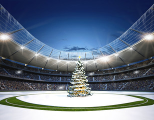 Stadion Mittellinie Winter © OH