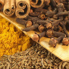 Closeup of cinnamon, cumin,curry, winter spices, square