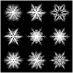 Fototapeta premium Snowflake silhouette icon, symbol, design. Winter, christmas vector illustration isolated on the black background.