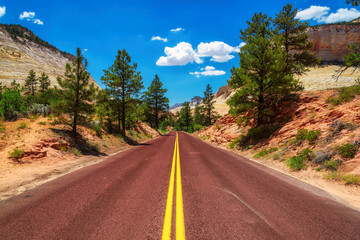 American road in Zion National Park, Utah - Powered by Adobe