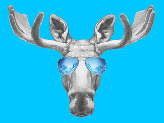 Portrait of Moose with mirror sunglasses. Hand drawn illustration.