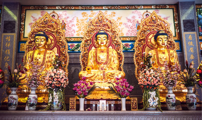 Obraz premium Golden buddha statues in chinese temple