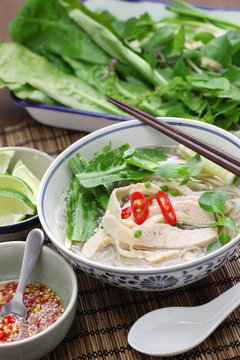 pho ga, vietnamese chicken rice noodle soup