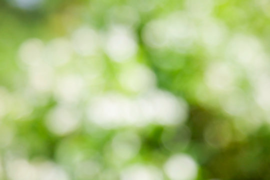 bokeh