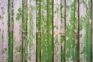Old weathered fence