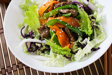 Fresh salad with beef and vegetables
