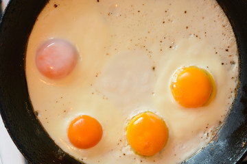 Cat playing with Christmas decorations