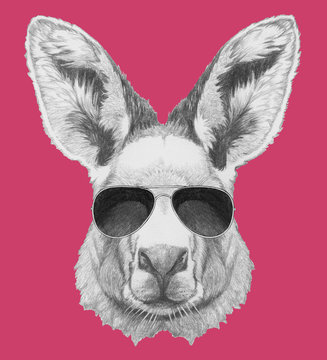 Portrait of Kangaroo with sunglasses. Hand drawn illustration.