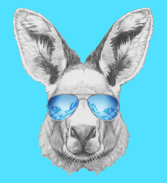 Portrait of Kangaroo with mirror sunglasses. Hand drawn illustration.