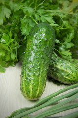 cucumber