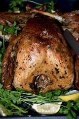 Holiday turkey