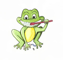 Frosch mit Zahnbürste