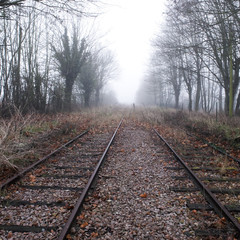 Ligne SNCF abandonnée en Seine et Marne