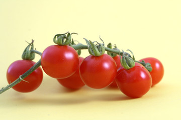 ripe cherry tomatoes
