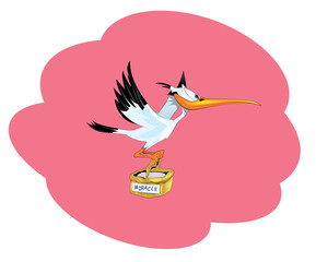 baby announcement card.