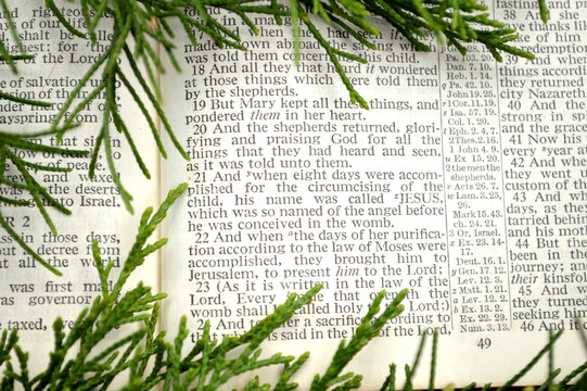 Christmas story, with greenery