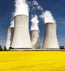 Cooling tower and rapeseed field