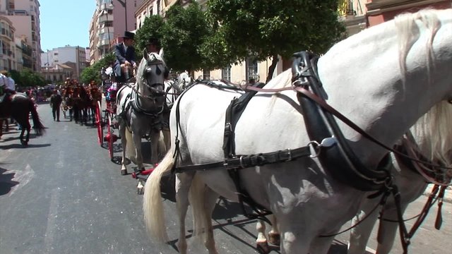 MALAGA, SPAIN - AUGUST, 14, 2009: Horsemen and carriages at the Malaga August Fair on August, 14, 2009 in Malaga, Spain 