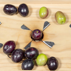Naturally black-ripe olive in steel blades of a traditional wooden slitter for preparing seasoned slit olives