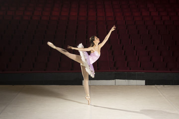 Young ballerina in theater dancing in costume. © HD92