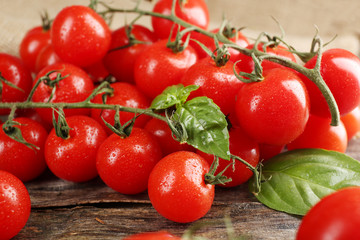 Cherry tomatoes with basil on wooden table close up