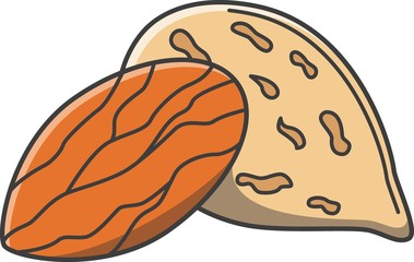 Almonds object vector illustration