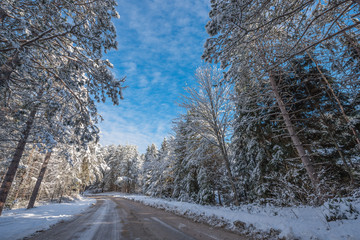 Snow covered woods, beautiful forests along rural roads.  Bright, sunny and snowy winter morning finds forests lightly covered in fresh fallen snow.
