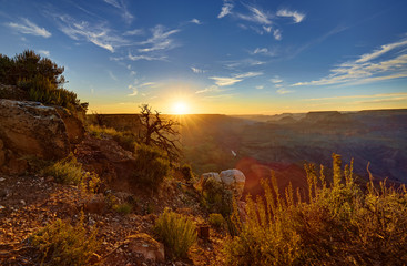Obraz premium Grand Canyon, Sonnenuntergang, Navajo Point 01