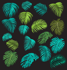 palm leaf set