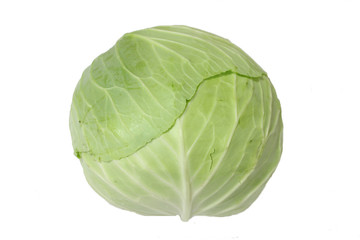 Fototapeta premium Cabbage