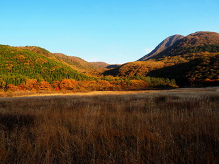 たで原湿原　夕景