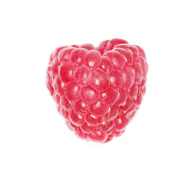 raspberry
