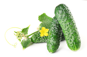 Fresh cucumbers with leafs isolated on white background