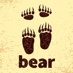 Bear footprints, front and hind paws. Doodle vector illustration.