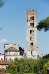 Fototapeta premium Cathedral of Lucca