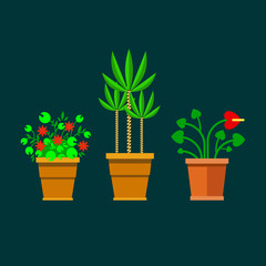 Set of flat flowers. Flowers in pots - vector illustration.