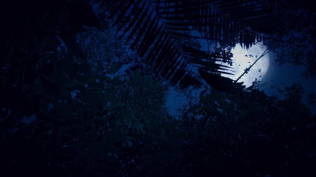 Moving Under Jungle Trees With A Full Moon