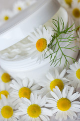  herbal healing creme - camomile