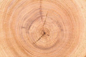Fototapeta premium Wooden texture