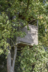 tree house