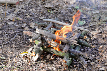 Campfire in the wood