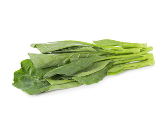 chinese broccoli on white background