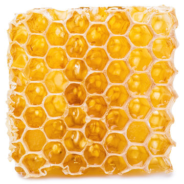 Honeycomb. High-quality picture contains clipping paths.