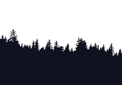 Forest Silhouette