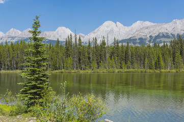 A Small Lake in Rocky Mountains Kananaskis Country Alberta Canada