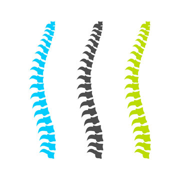 Spine Graphic Set