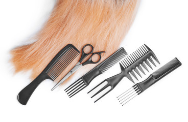 hair with scissors on close up isolated on white background