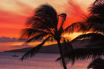 Papier Peint photo Lavable Mer / coucher de soleil Maui Sunset