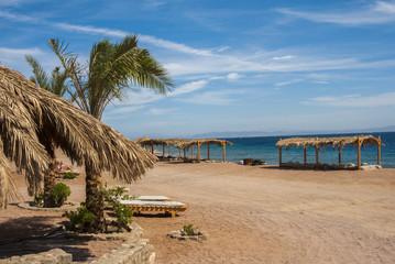 Fototapeta premium The picturesque beach on the Red Sea